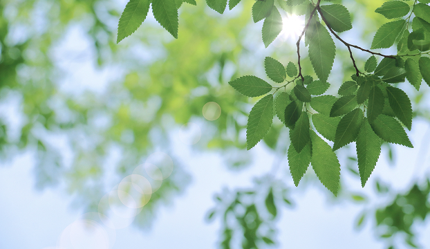 イメージ：サステナビリティ