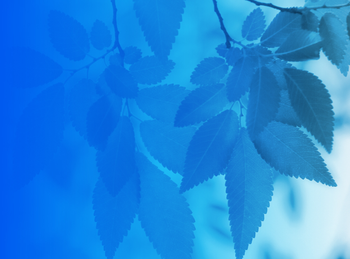 サスティナビリティ